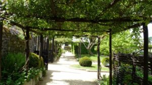 Le Jardin de Locmaria à Quimper (29)