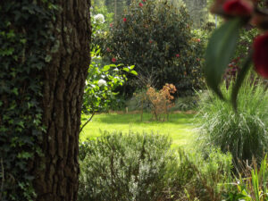 Le Jardin des Sittelles à Arzano (29)