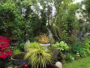 Le Jardin de Séquoia à Guéméné Penfao (44)