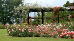 Le Parc Floral de la Beaujoire à Nantes (44)