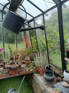 Le Jardin de Kergonano à Baden (56)