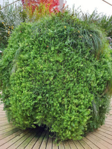 Jardin41Chaumont2018-09