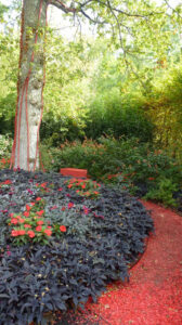 Jardin41Chaumont2018-19