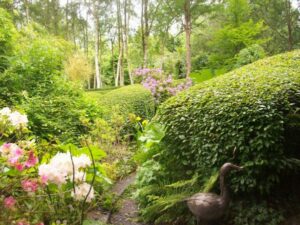 Le Jardin d’atmosphère du Petit Bordeaux à Saint Biez en Belin (72) en 2024