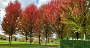 Les Jardins du Château de Villaines à Louplande (72)