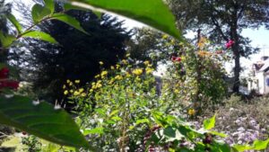 Le Jardin de Caradec à Saint-Nolff (56)