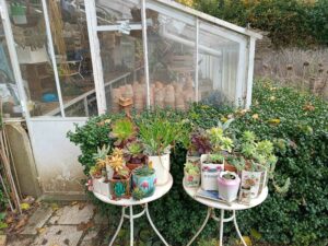 Les Jardins de La Massonnière à Saint Christophe en Champagne (72)