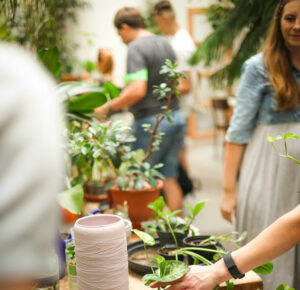 Suggestions de Fêtes des Plantes en Bretagne