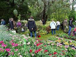 Fête des Plantes à Brest – 1er mai 2025