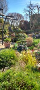 Le Jardin de Jocelyne à Moréac (56)