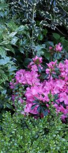 Le Jardin de Lumbini à Saint Lyphard (44)