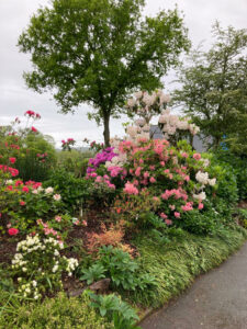 22e édition des jardins ouverts pour le Neurodon du 8 au 11 mai 2025