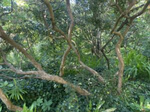 carre IMG_8032bd