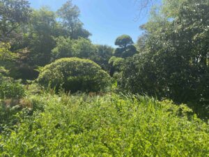 carre IMG_8039bd