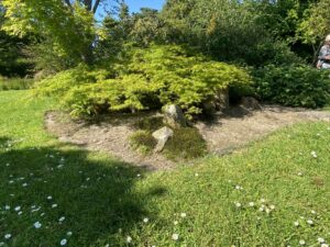 carre IMG_8066bd