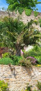 Les Jardins Extraordinaires de Brest (29)