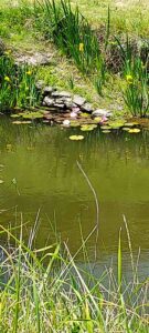 20250518_Eden Voyageur. bd.134808