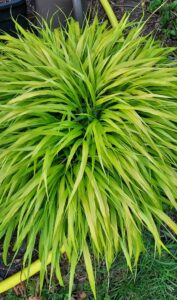 20250519_Lauristyle.bd.vert.100816