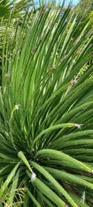 20250519_Lauristyle.bd.vert.102510