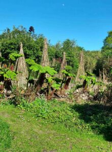 Jardin44Marais3bd