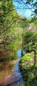 Jardin44Marais5bd