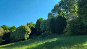 Les Jardins de Kerdalo à Trédarzec (22)
