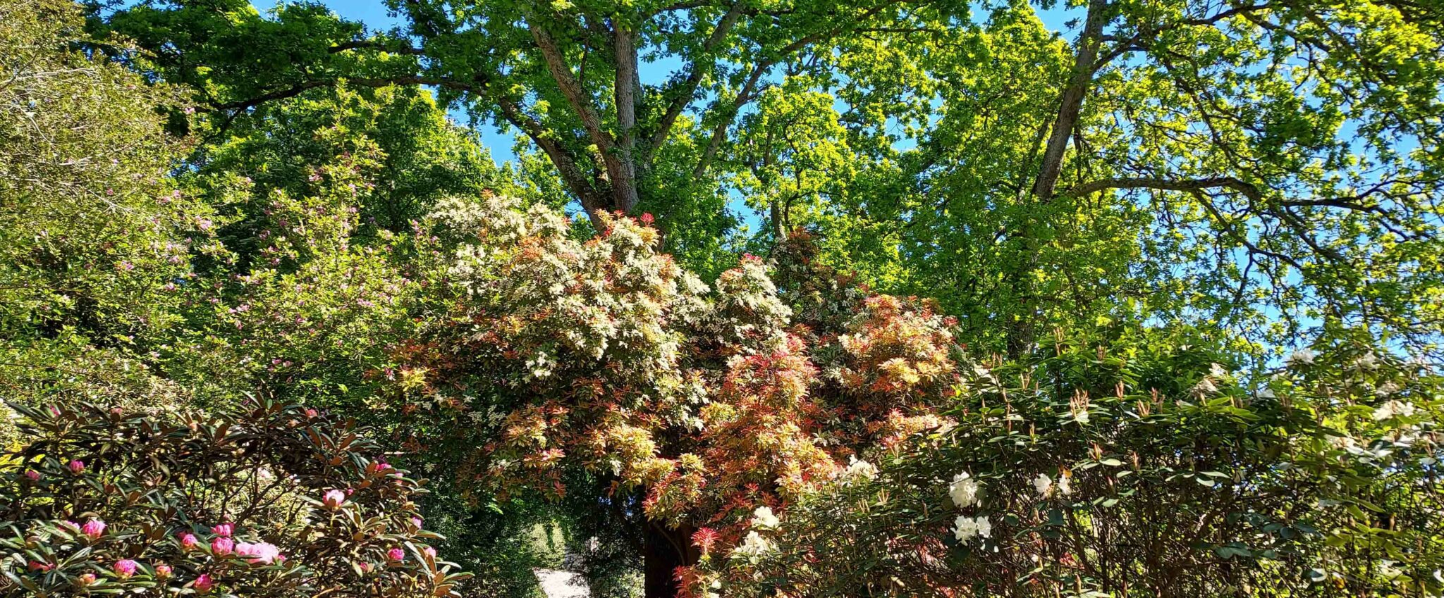 billets pour les jardins de kerdalo