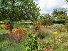 L’Eden du Voyageur à Sauzon – Belle Ile (56)