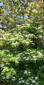 vert 20250429_170545 bd