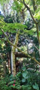 vert 20250429_170620 bd