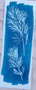 Atelier Cyanotype