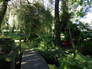 Conférence du 15 novembre : Guénolé Savina – La taille des arbustes