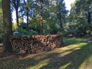 polypodes3 bd
