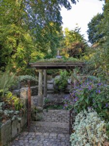 Le Jardin Polypodes à Yvignac la Tour (22)