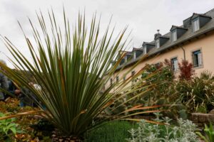2026 05 18 Quimper 04 bd