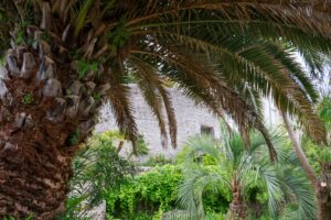 2026 05 18 Quimper 05 bd