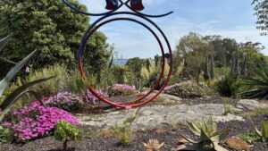 Le Jardin exotique et botanique de Roscoff (29)