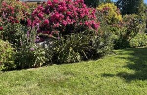 Le Jardin du Bout de la Lande à Plévin (22)