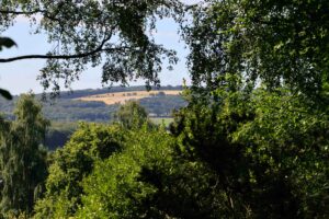 Le Jardin de Danyland à Plougonven (29)