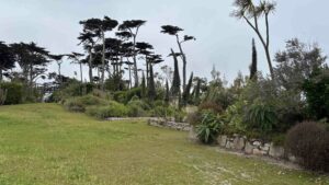 Le Jardin Georges Delaselle à l’île de Batz (29)