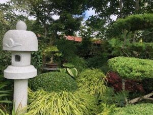 IMG_7387